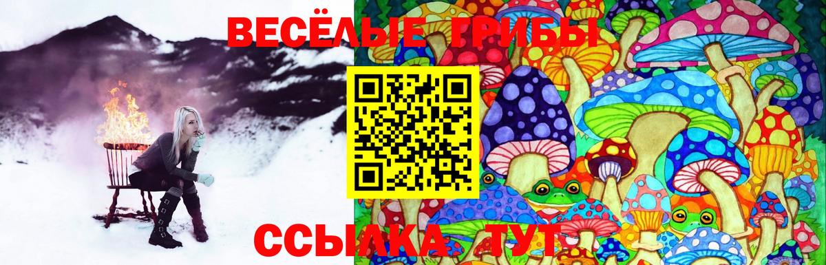 купить  цена  Псилоцибиновые грибы Cubensis  Осинники  Вход с VPN  Галлюциногенные грибы Magic Shrooms 